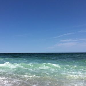 Meet your Posher, Lilly